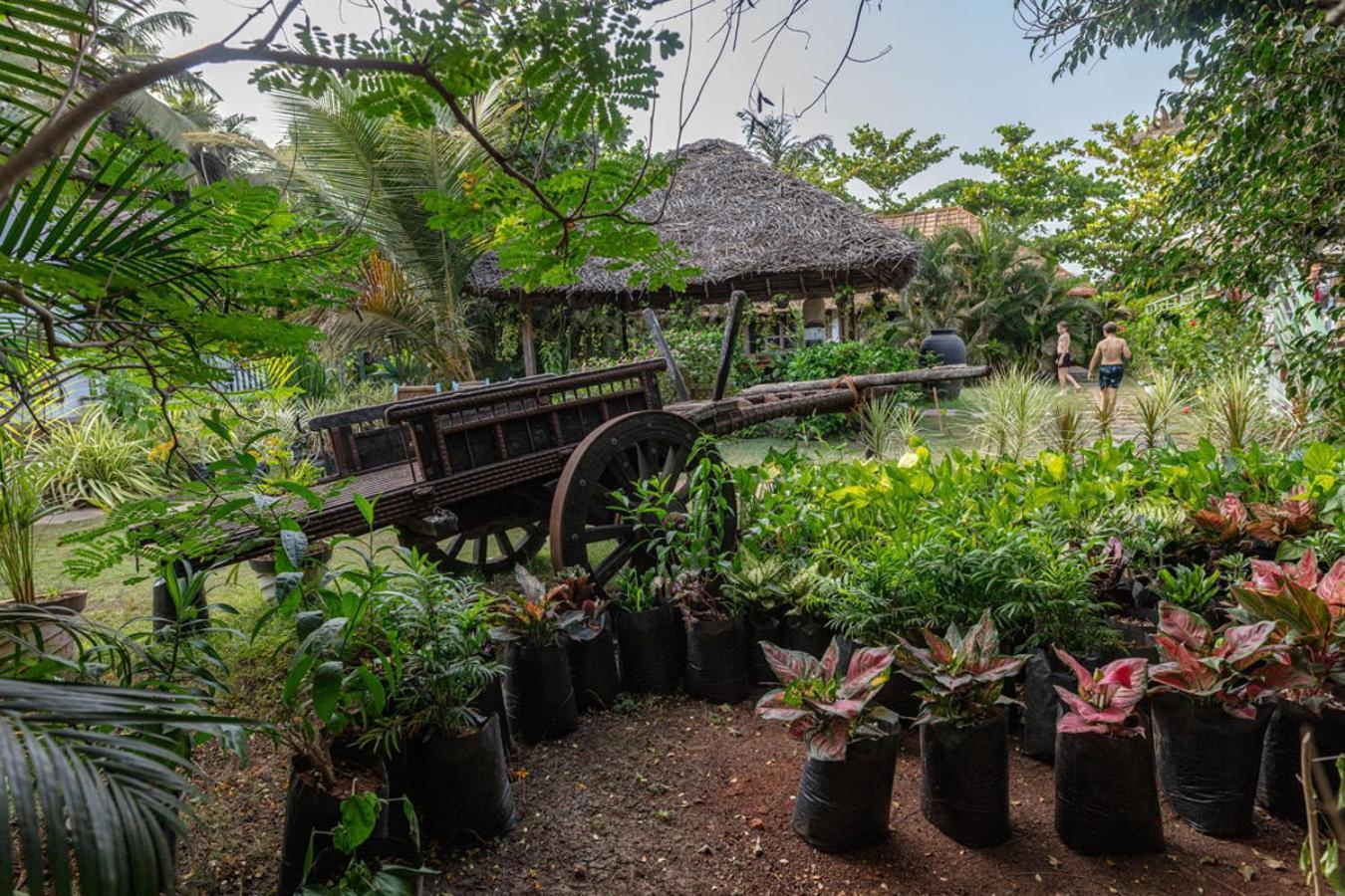 Akasa Goa Hotel Palolem Buitenkant foto